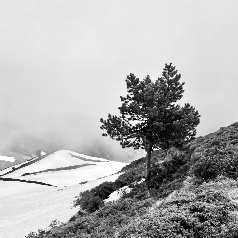 A08