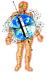 Biomagnetisme-2