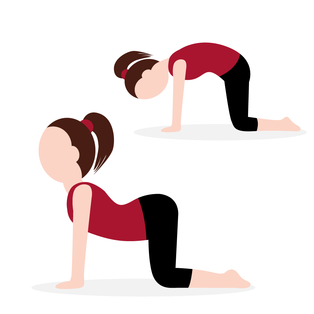 Flexicream be schema-exercice-dos-1