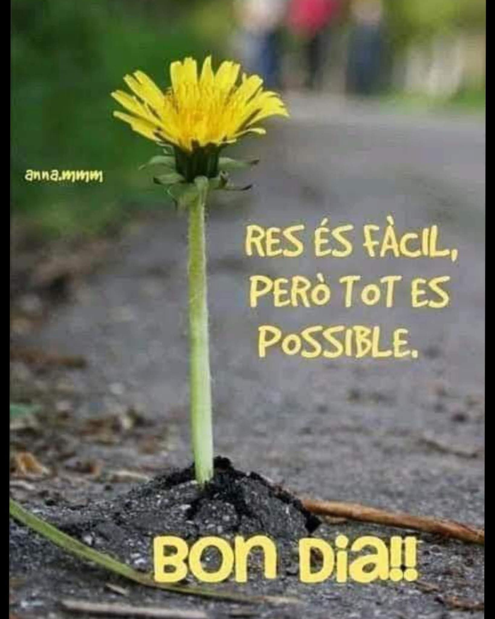 FB IMG 1773989692453