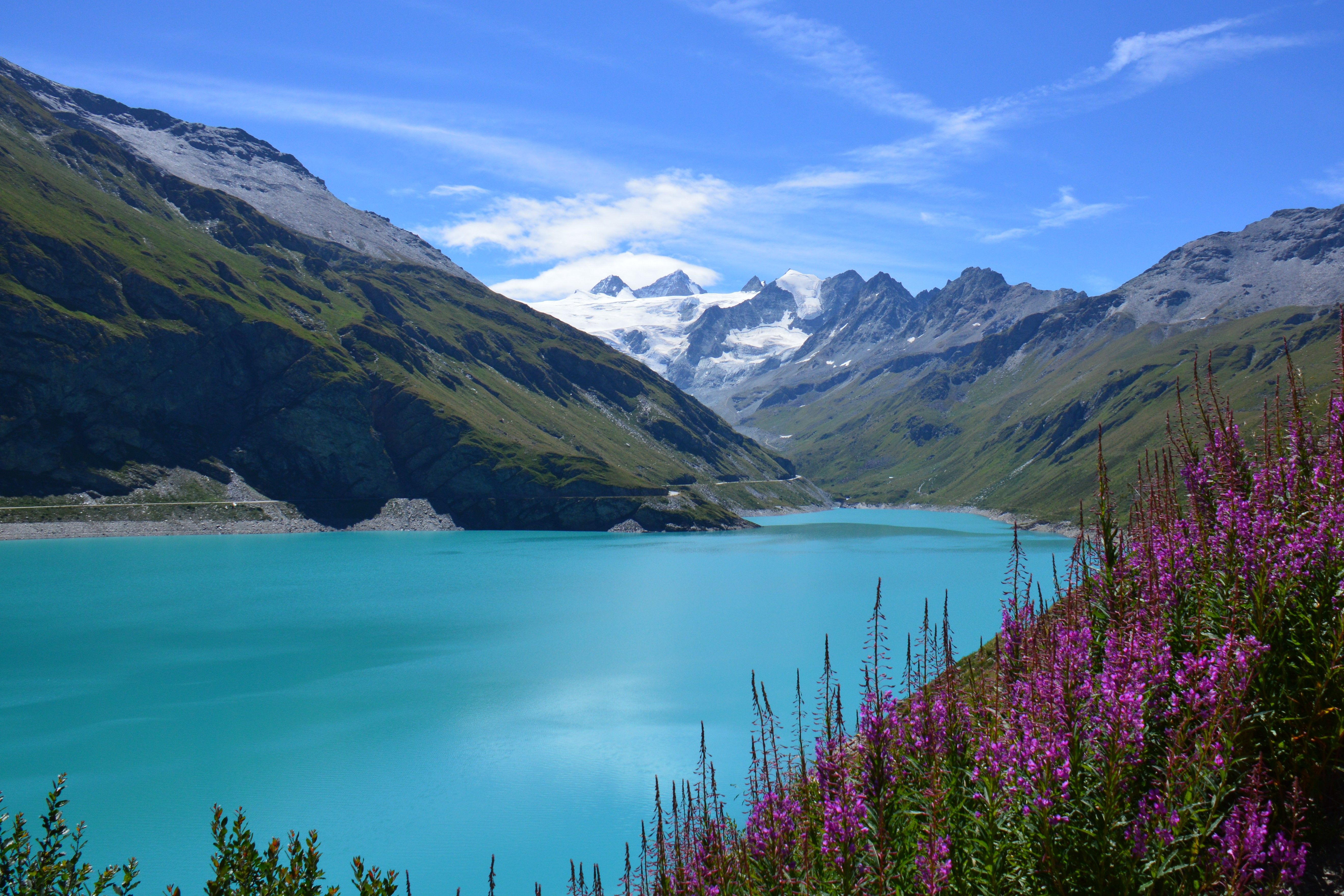 Barrage de Moiry bordé d'épilobes mauves. Dent Blanche et  Grand Cornier au loin / Photos Alpes suisses