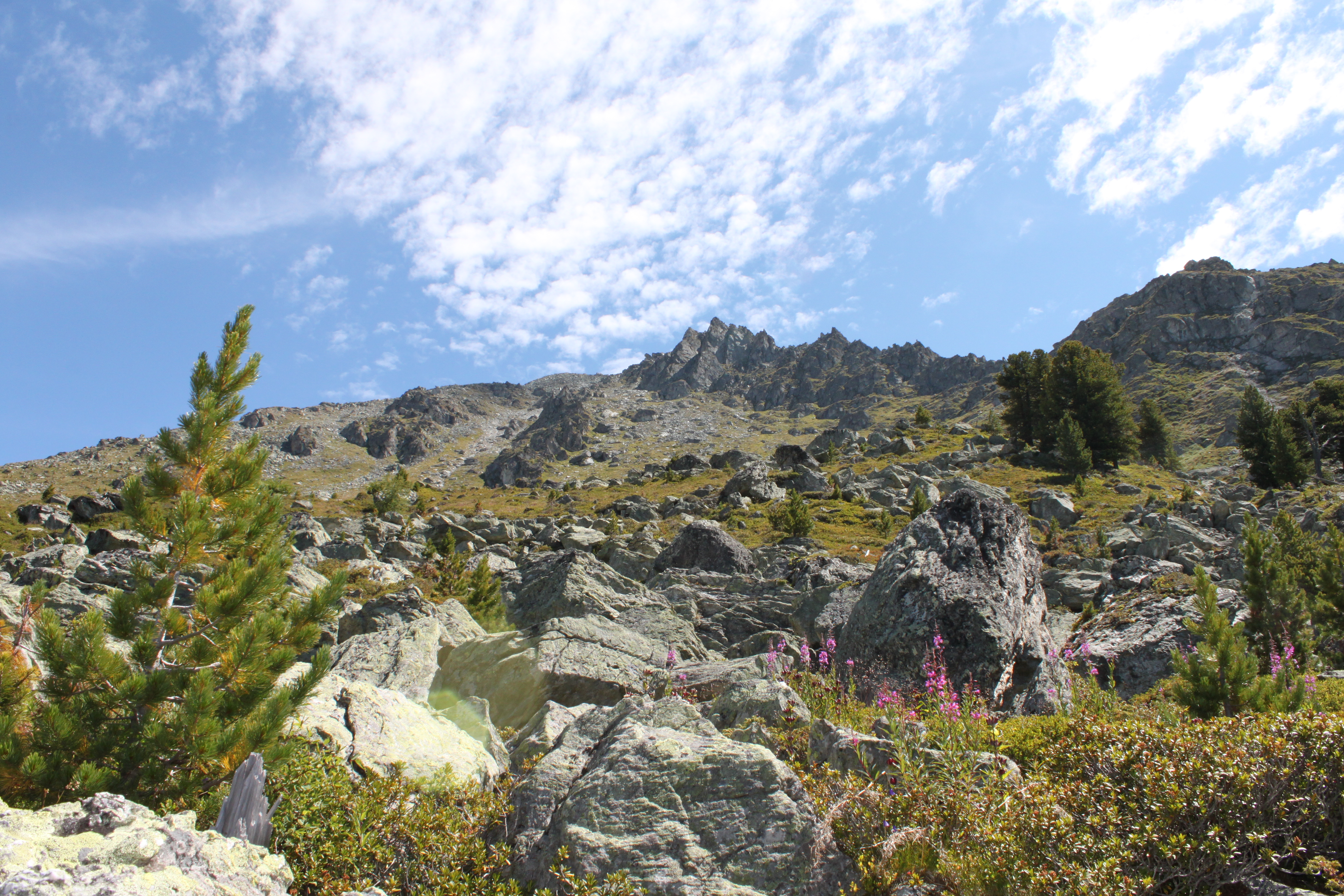 Bisse aérien de Chervé en direction du Lac du Grand Désert