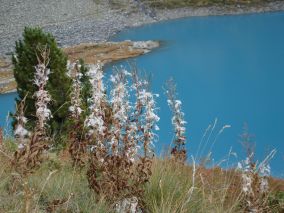 Lac du Cleuson