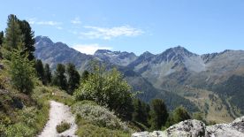 Bisse aérien de Chervé