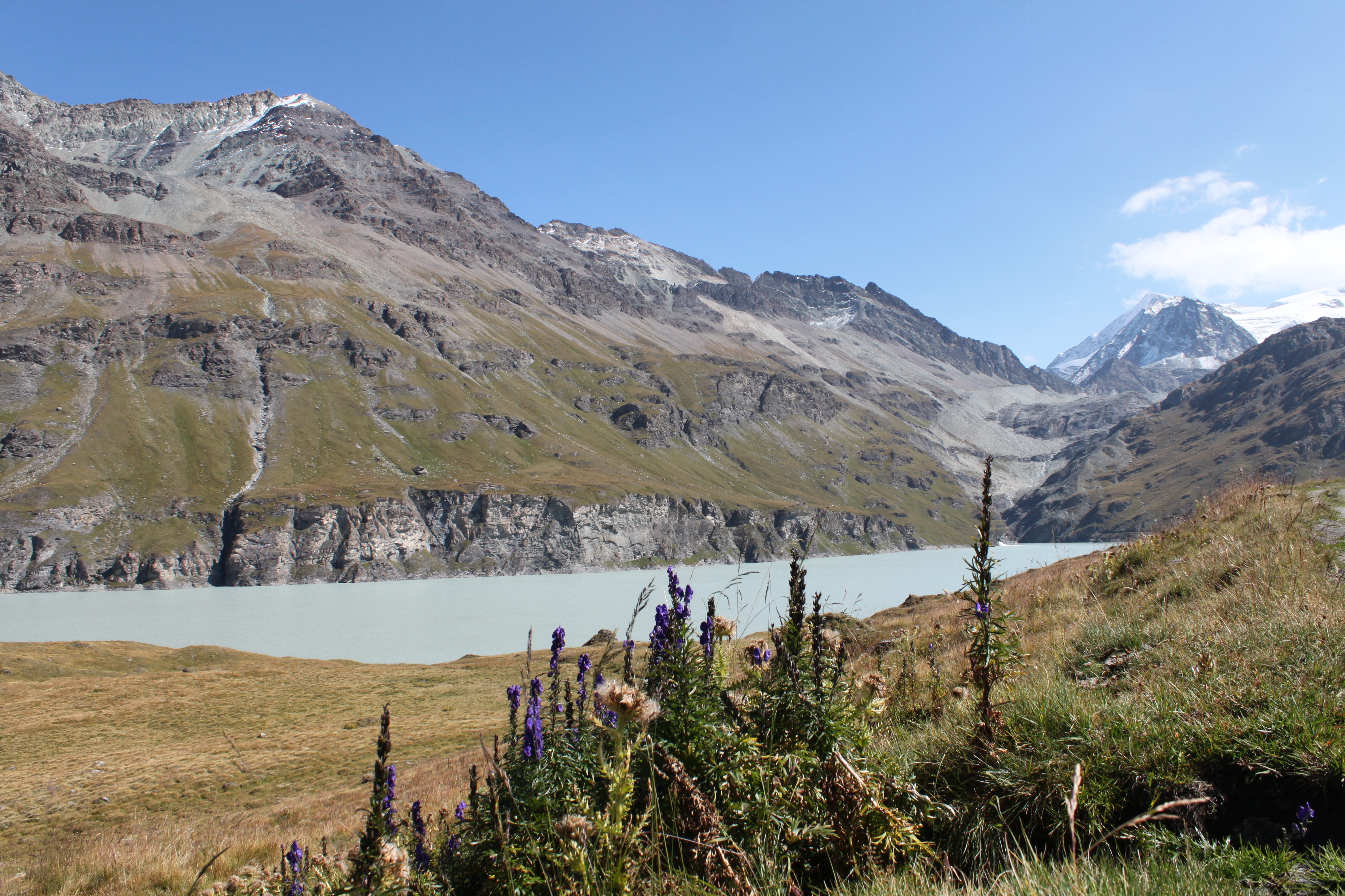 Végétation luxuriante au lac des Dix