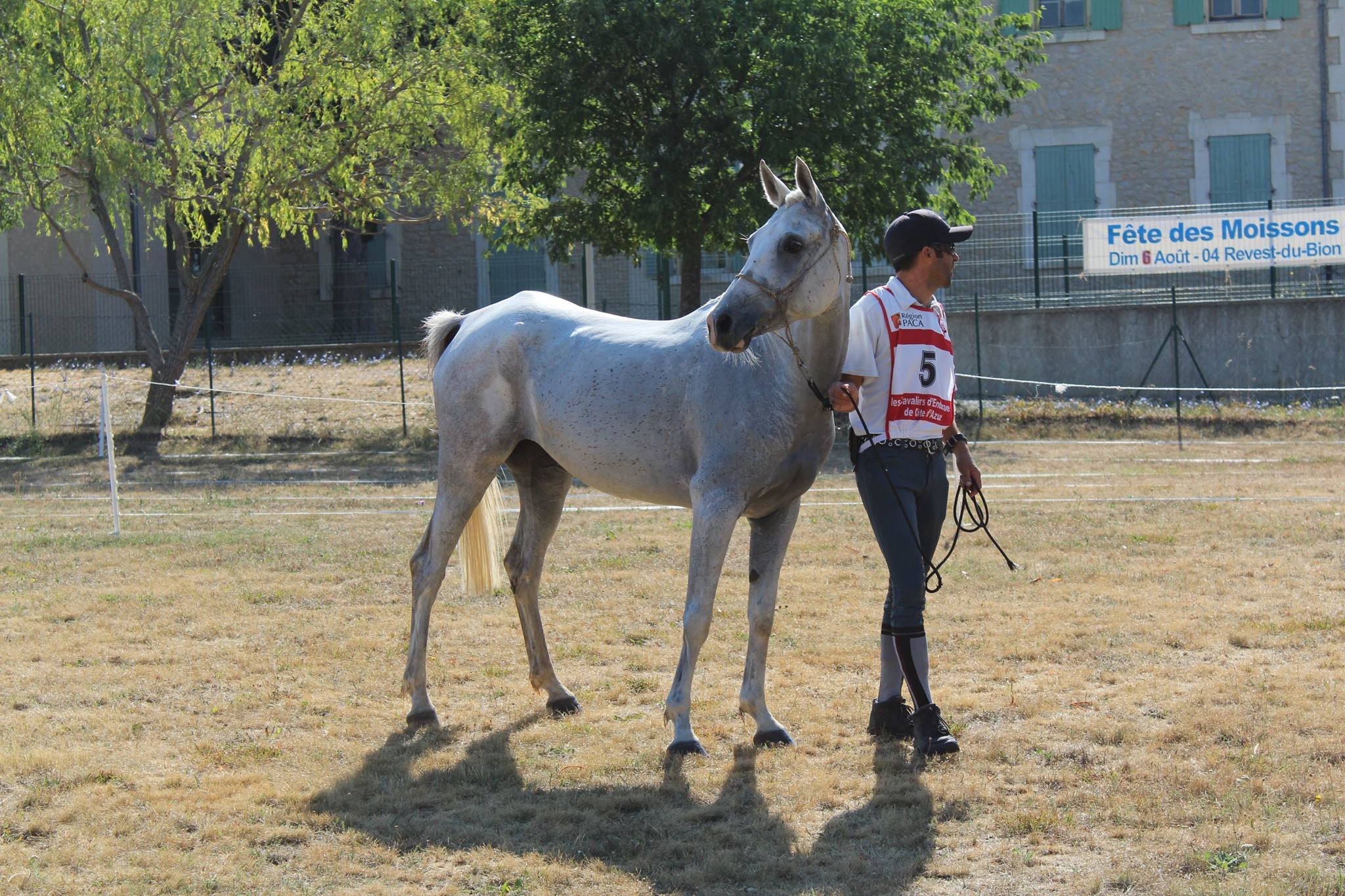 20247798 1896885963671723 7930366131370358346 o