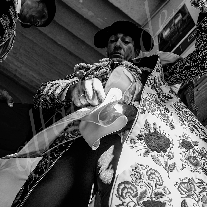 20220729 bayonne 004