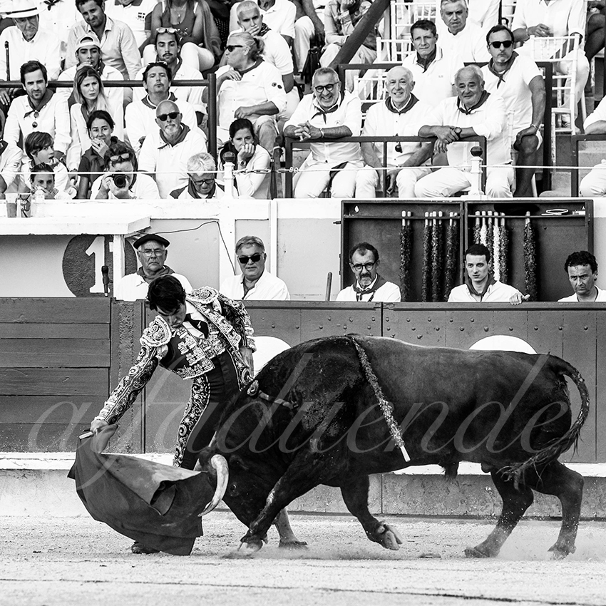 20220729 bayonne 006