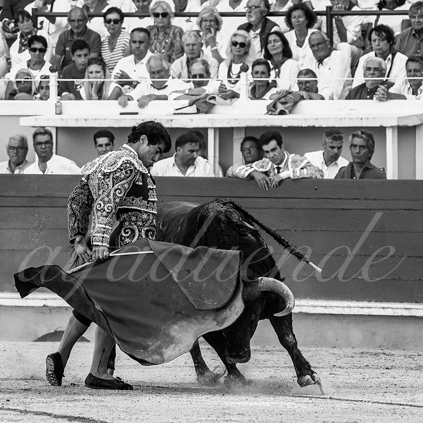 20220729 bayonne 007