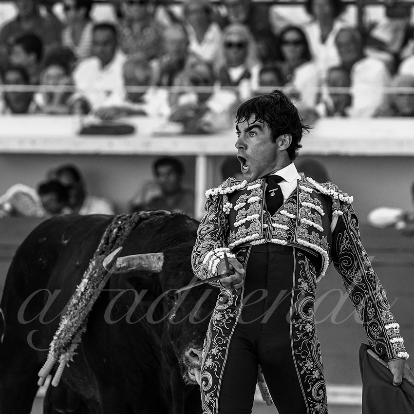 20220729 bayonne 008