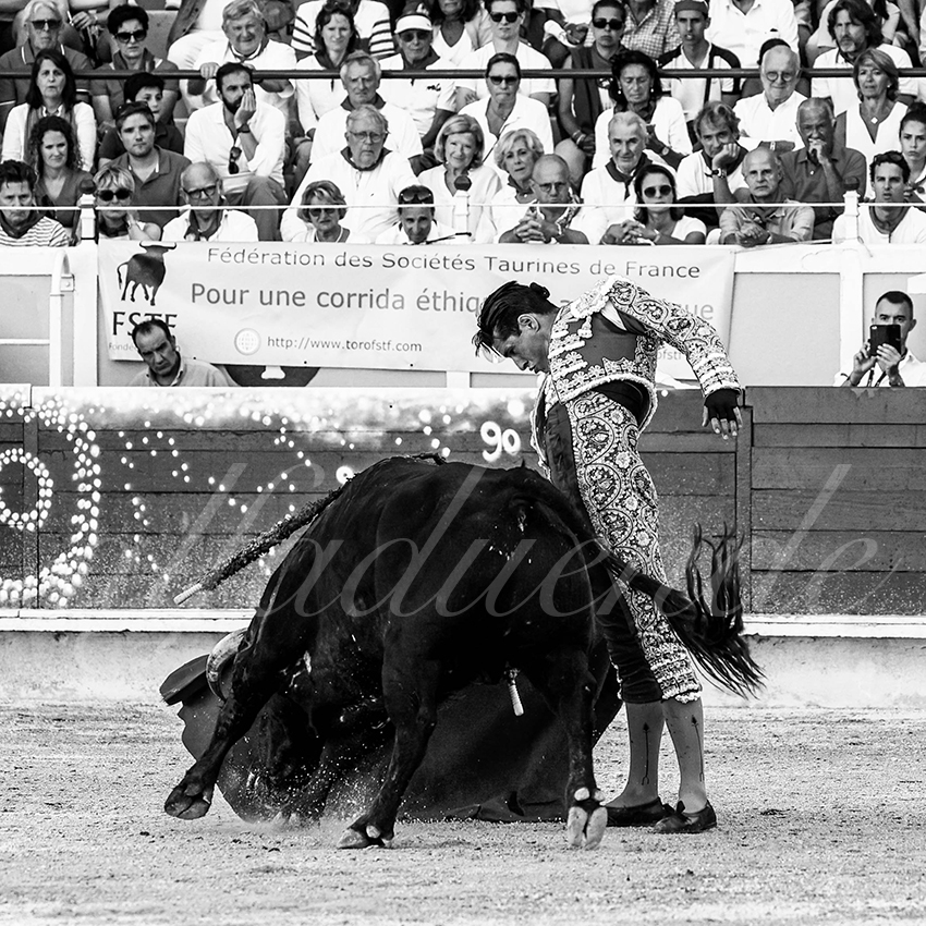 20220729 bayonne 010