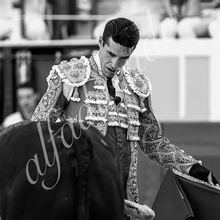 20220729 bayonne 012