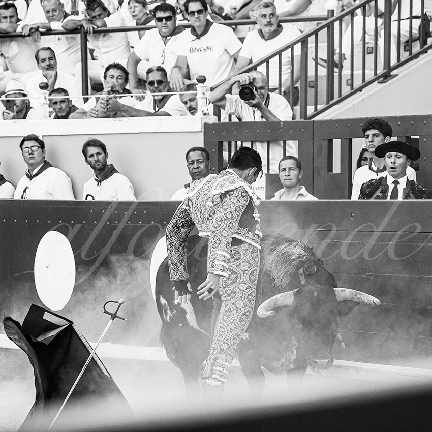 20220729 bayonne 013