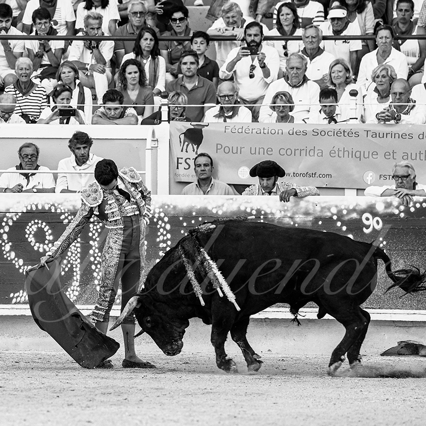 20220729 bayonne 014