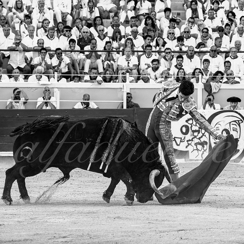 20220729 bayonne 015