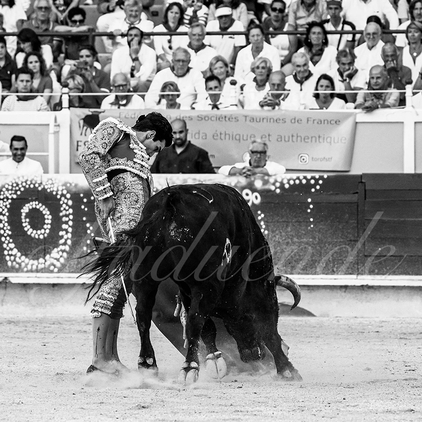 20220729 bayonne 016