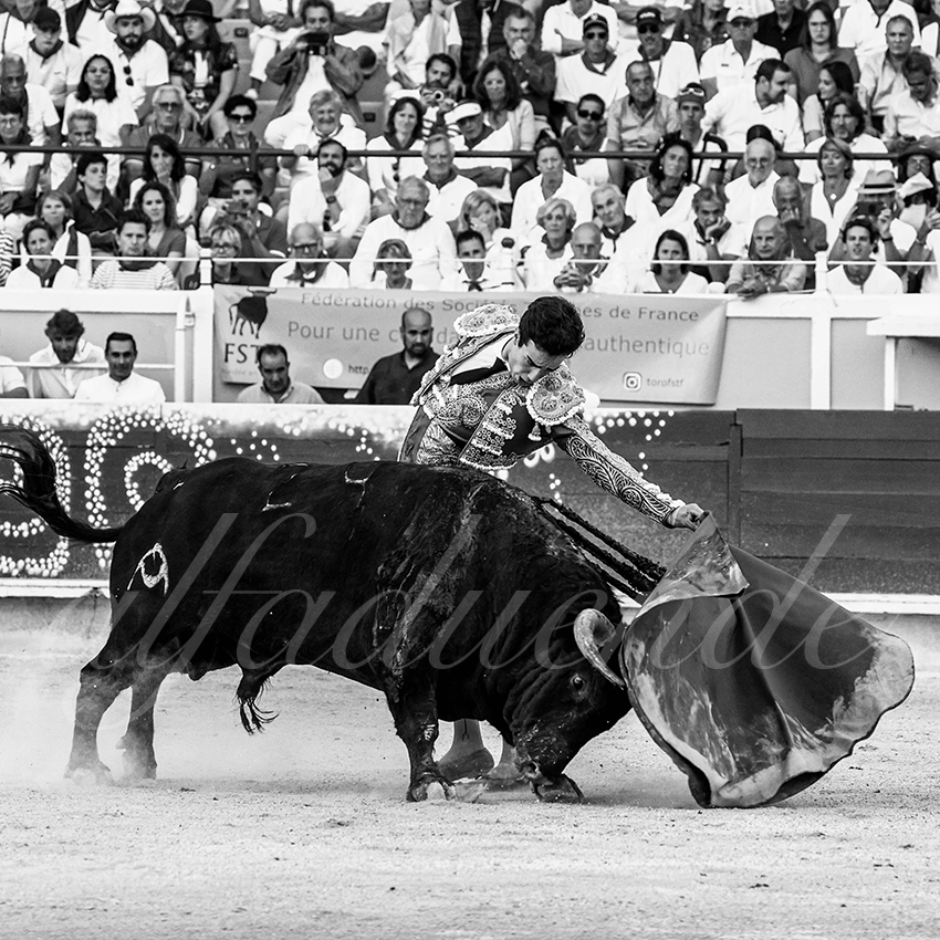 20220729 bayonne 017