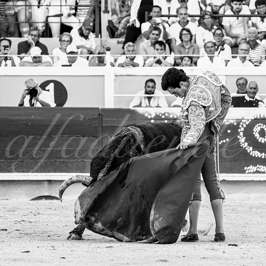 20220729 bayonne 019