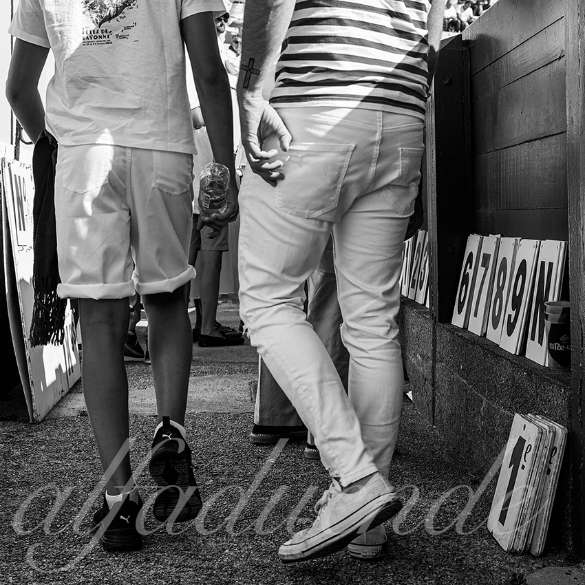 20220729 bayonne 021