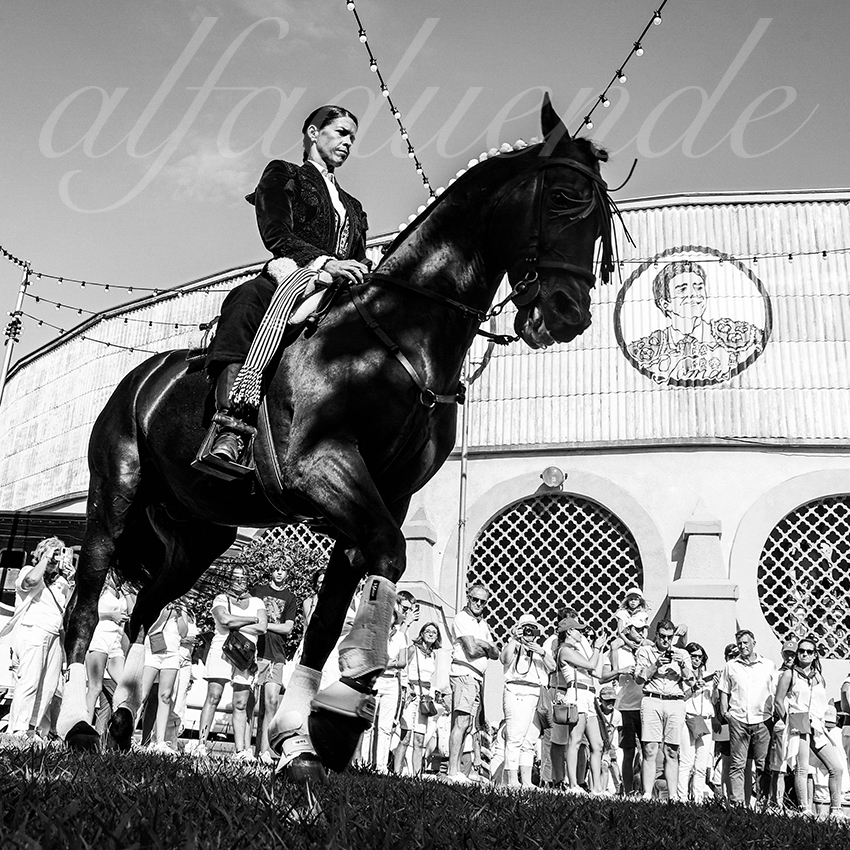 20220730 bayonne 001