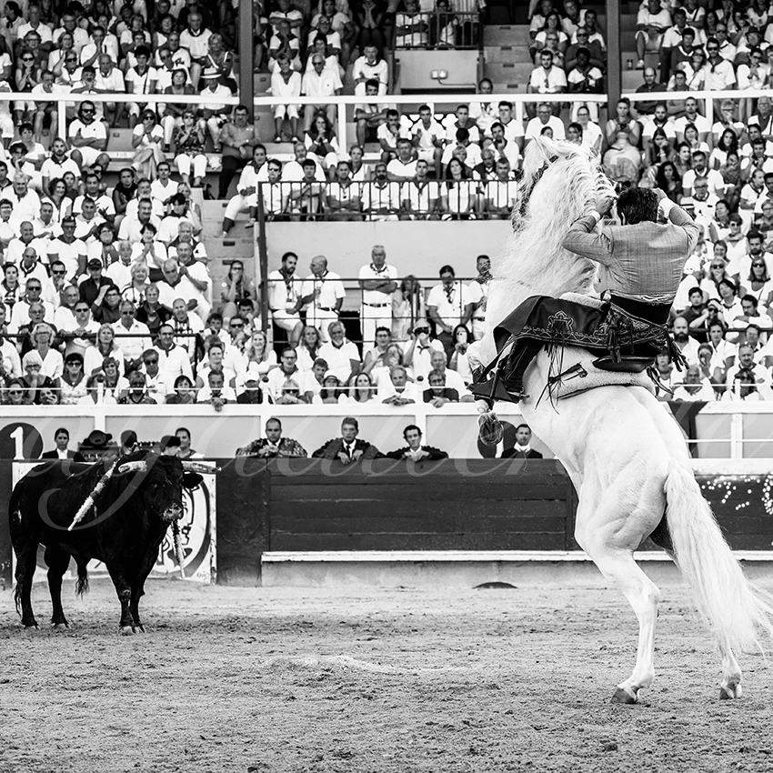 20220730 bayonne 004