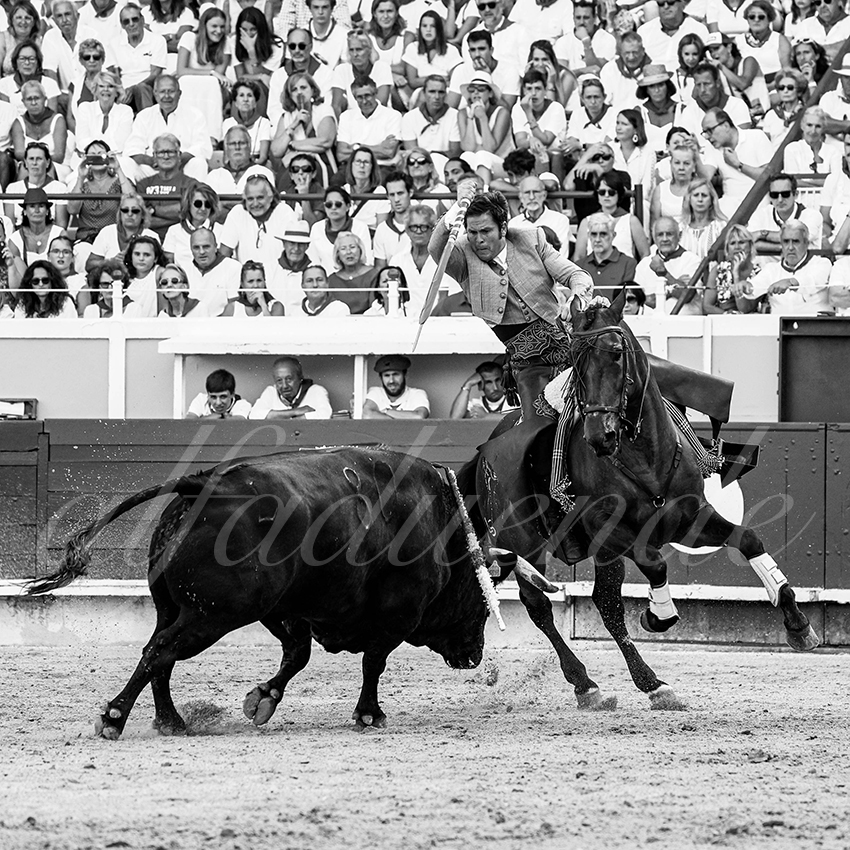 20220730 bayonne 005