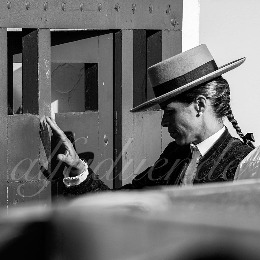 20220730 bayonne 006