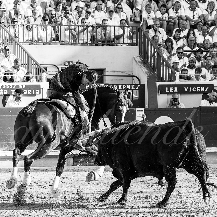 20220730 bayonne 008