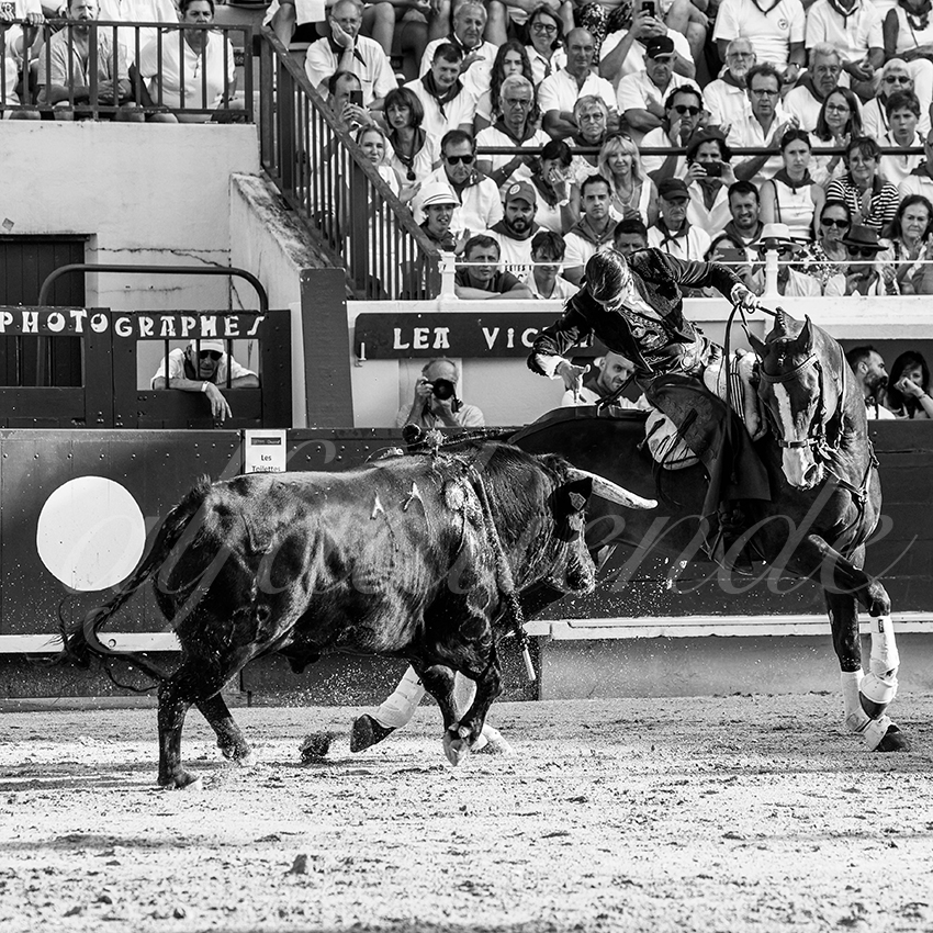 20220730 bayonne 009