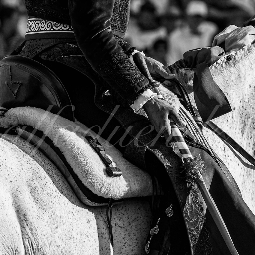 20220730 bayonne 011