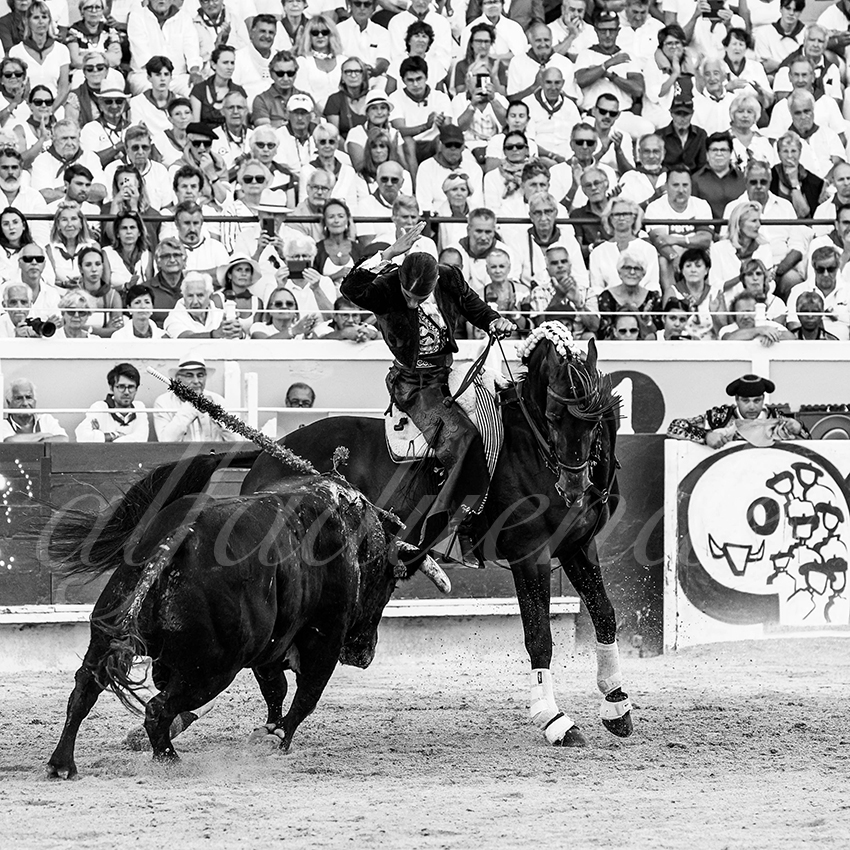 20220730 bayonne 012