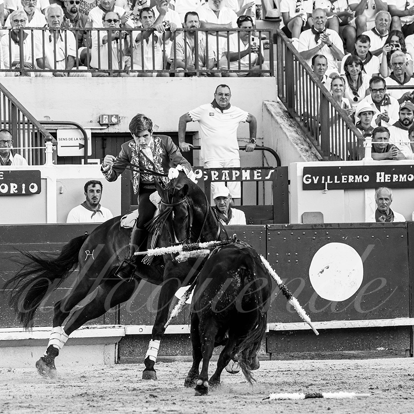 20220730 bayonne 016