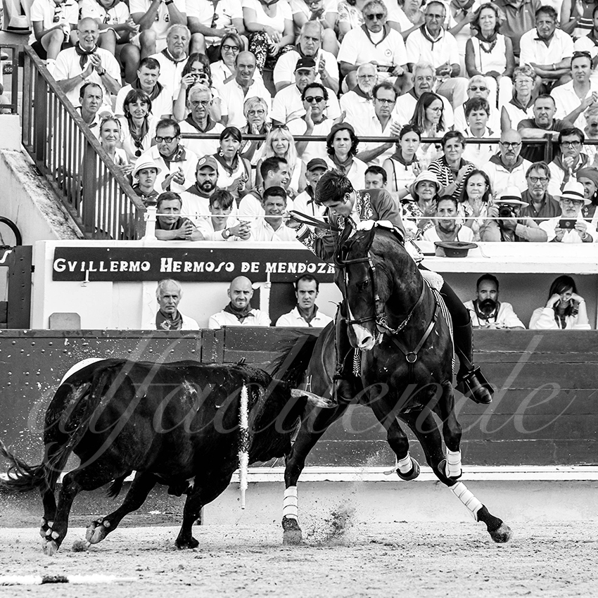 20220730 bayonne 017