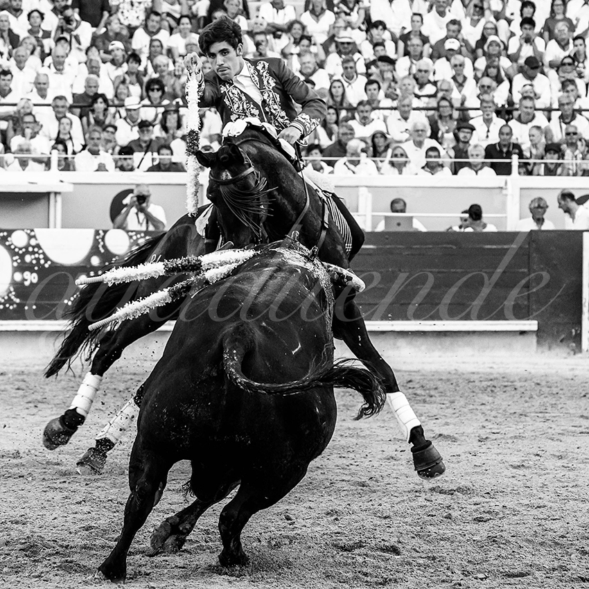 20220730 bayonne 019