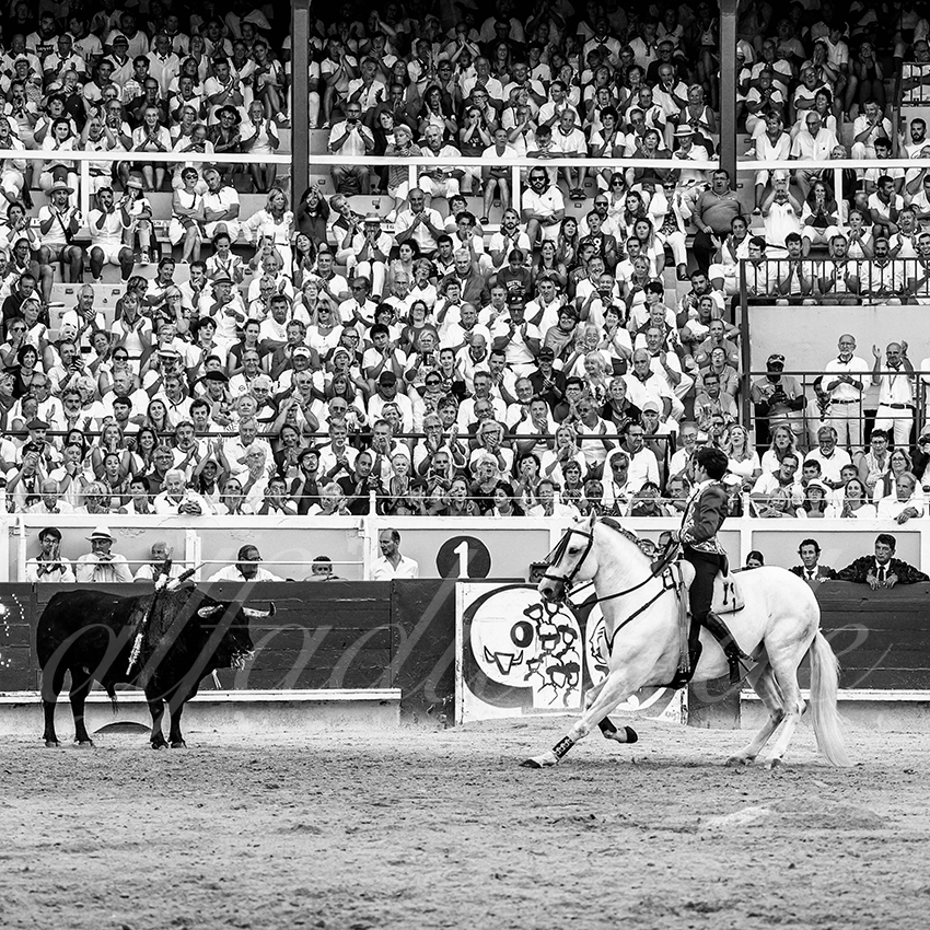 20220730 bayonne 020