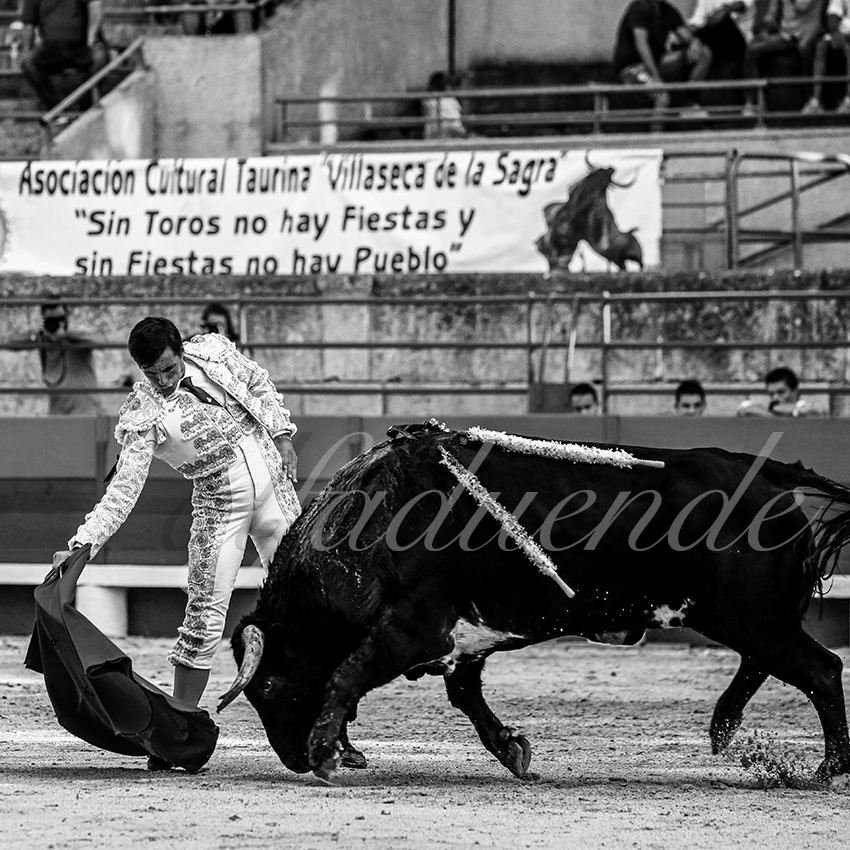 20200726 beaucaire 007