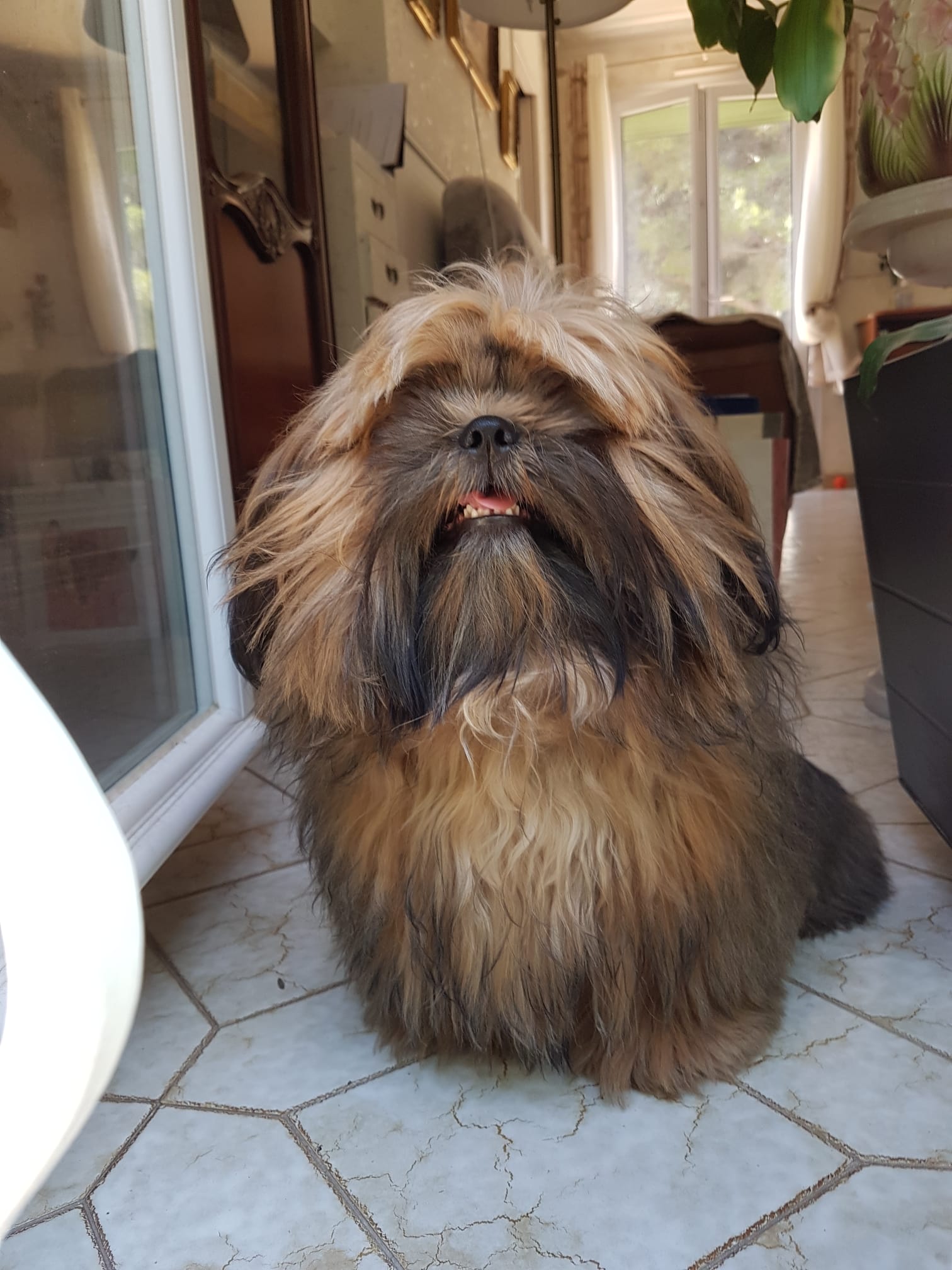 IMG-20210826-WA0000-1477-