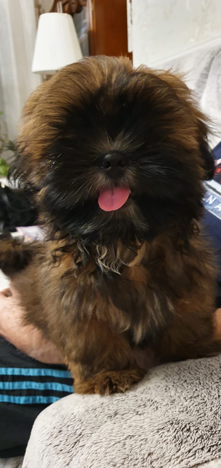 IMG-20201120-WA0003-1463-