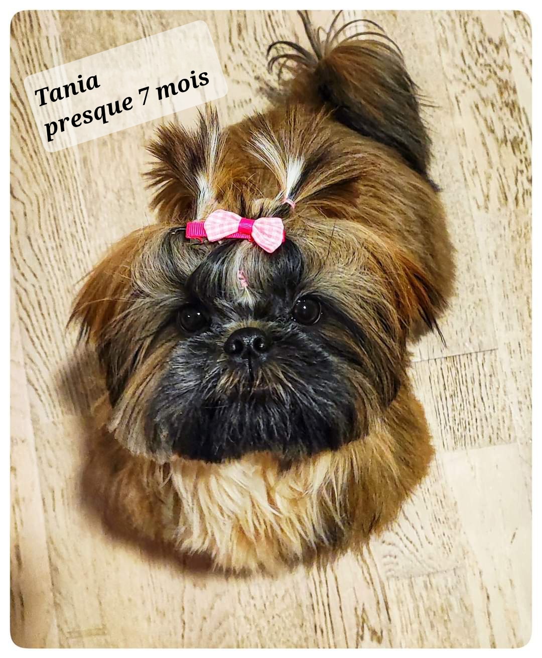 FB IMG 1669147822691-1433-