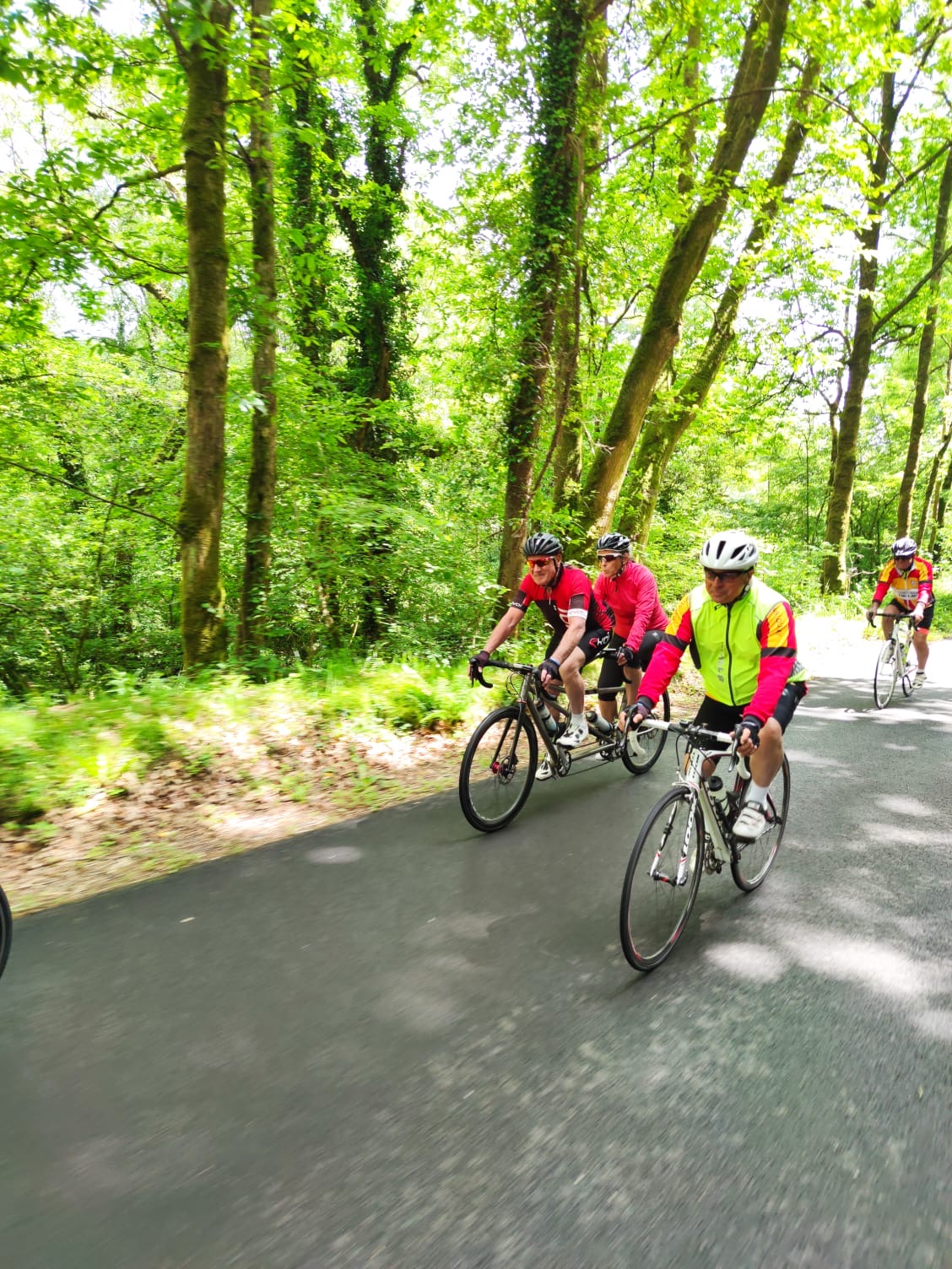 F4395959 b4df 4ff1 b48e 81d15bcf68a0