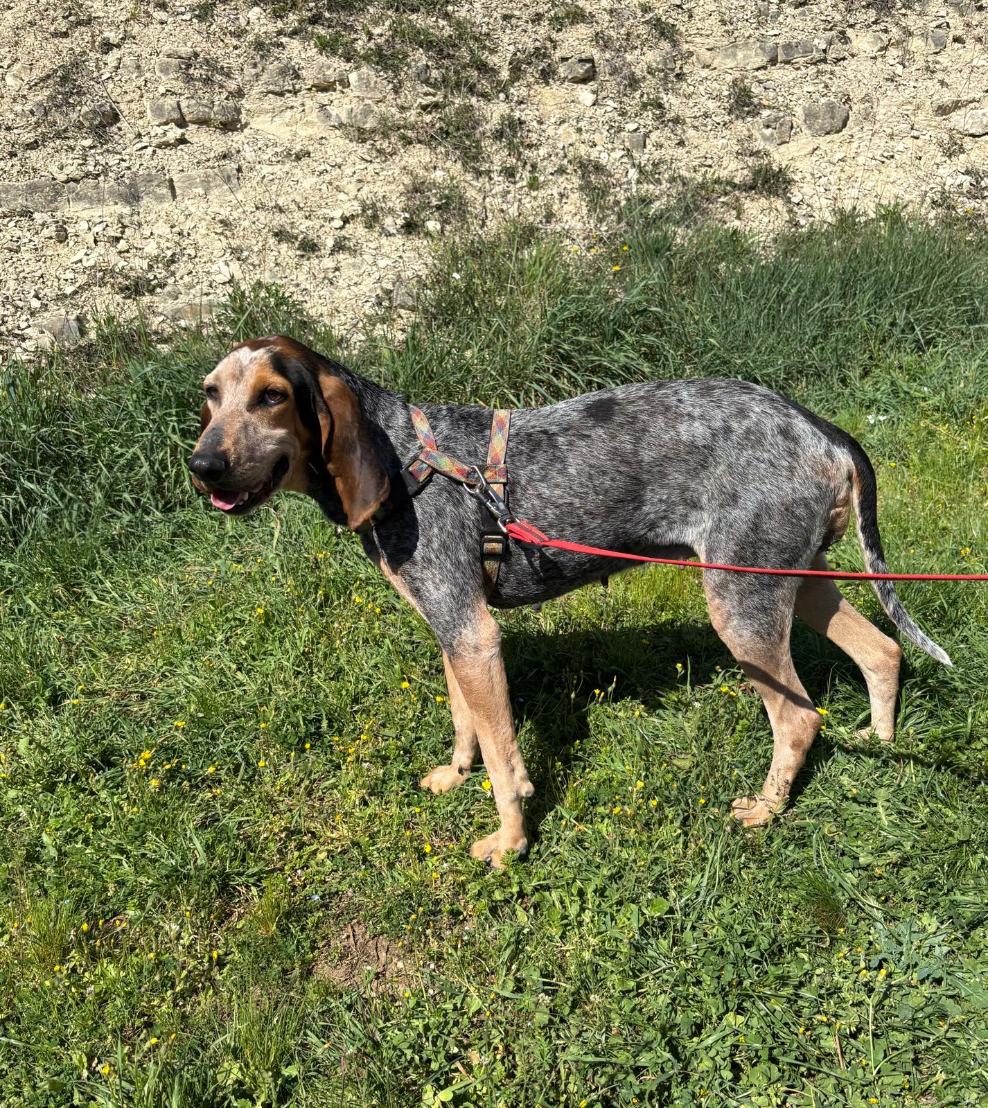 Whatsapp image 2025 04 06 at 19 18 59