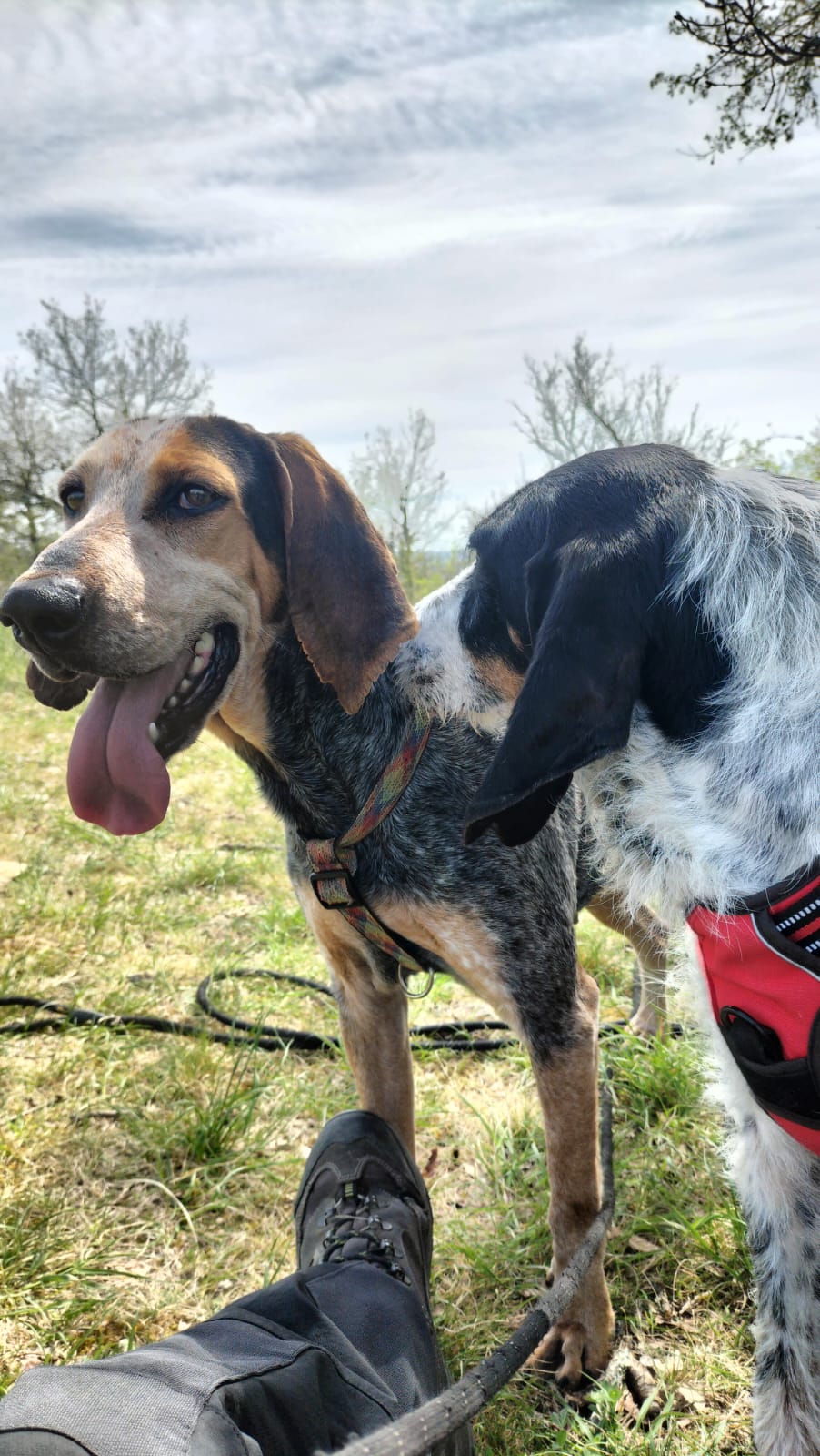 Whatsapp image 2025 04 09 at 18 28 41