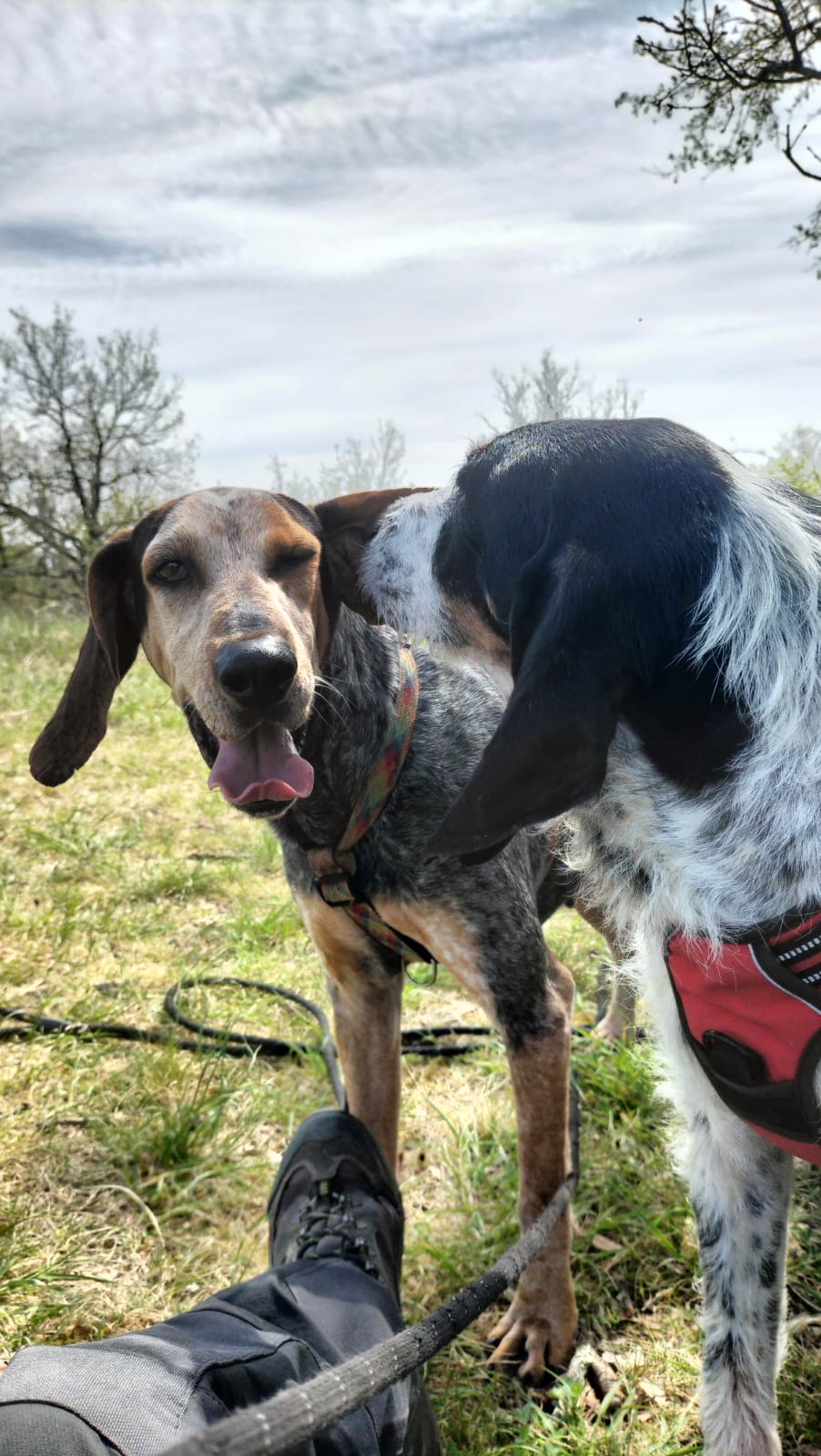 Whatsapp image 2025 04 09 at 18 28 42