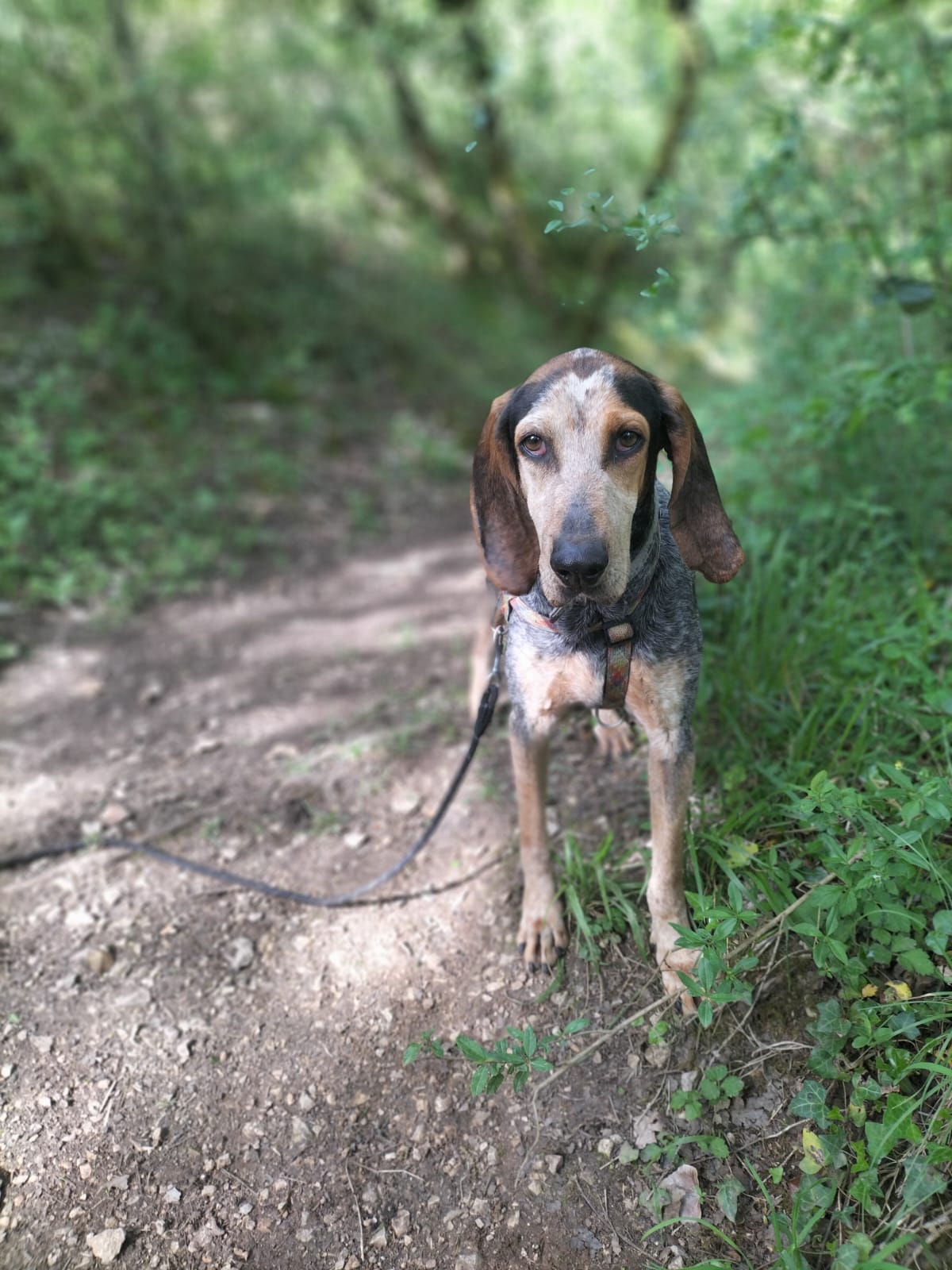 Whatsapp image 2025 05 01 at 19 03 38