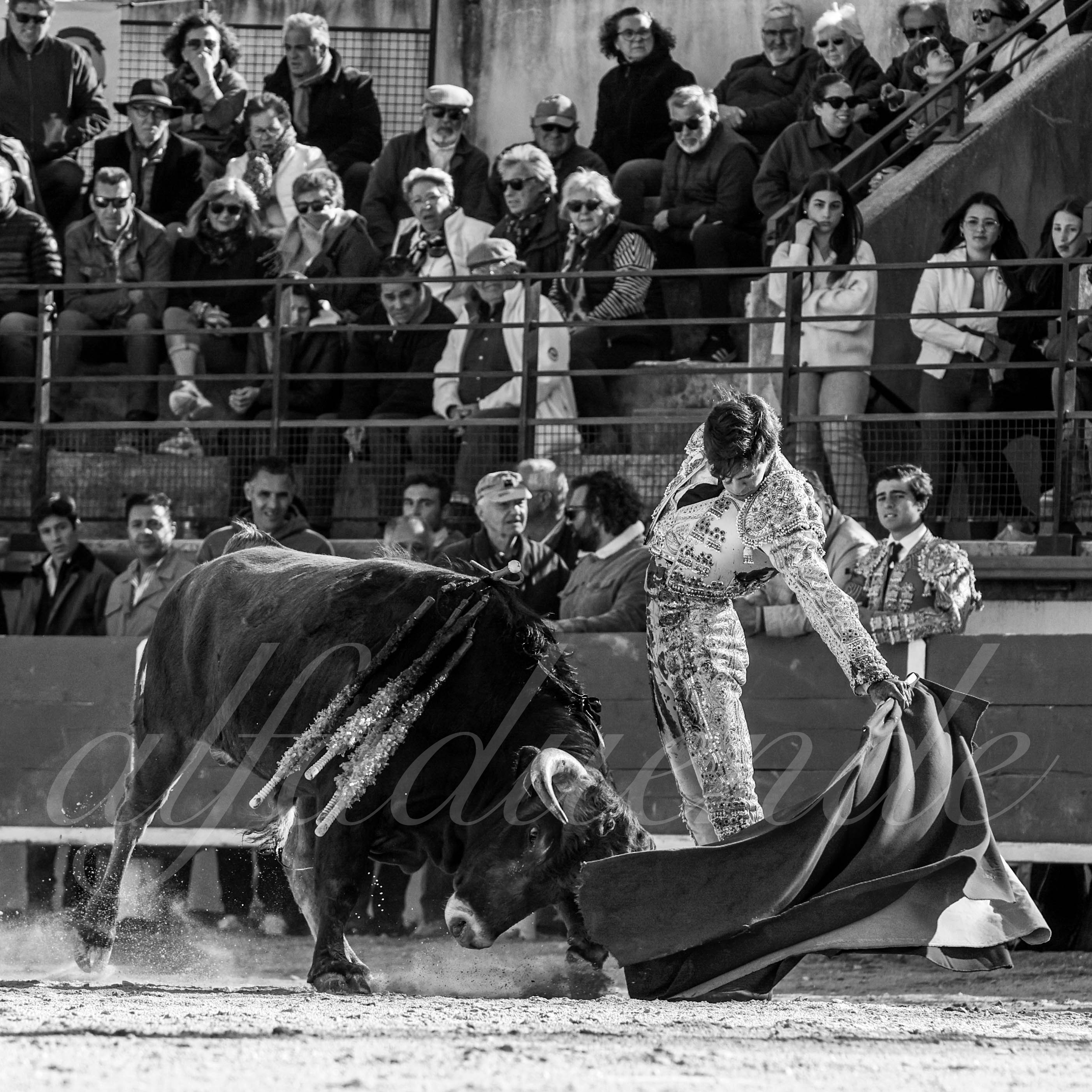 20230326 bellegarde 015