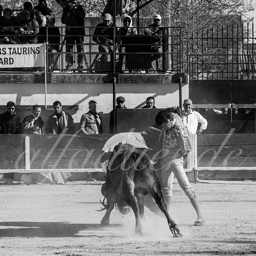 20230326 bellegarde 012