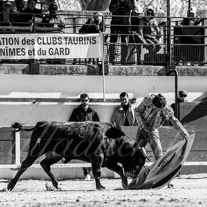 20230326 bellegarde 010