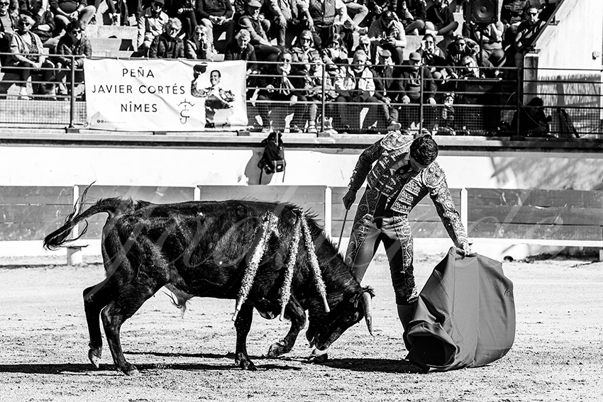 20230326 bellegarde 006