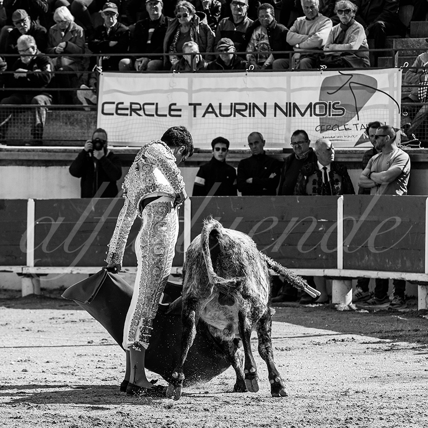 20230326 bellegarde 004