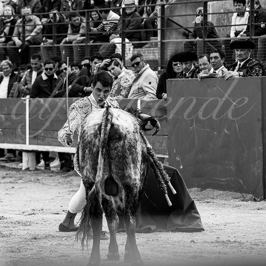 20230326 bellegarde 003